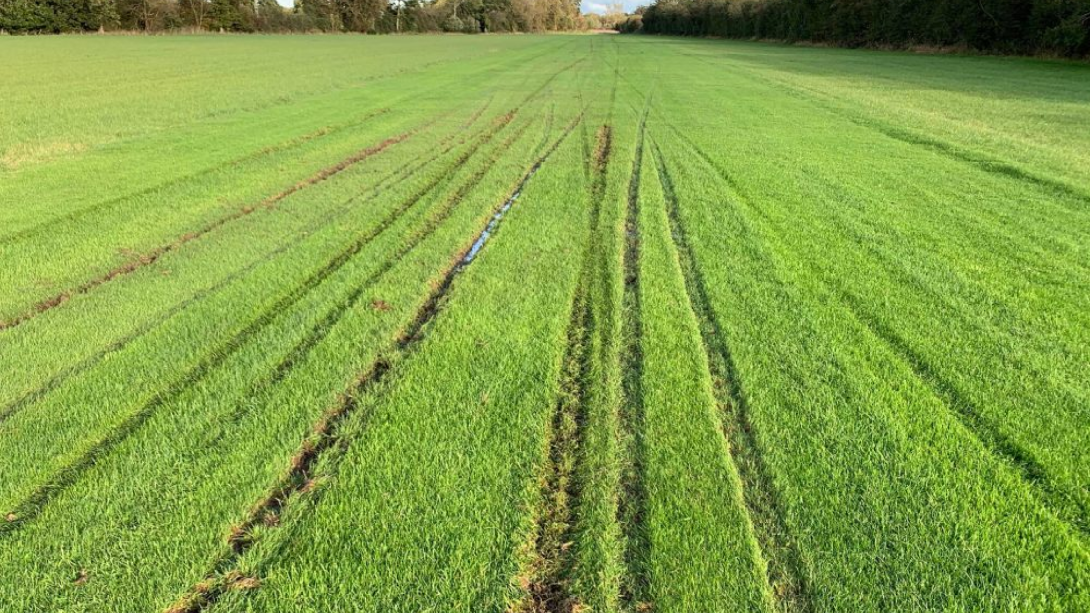 How to Land on Farmstrips in the UK: A GA Pilot’s Guide to Grass Roots Flying